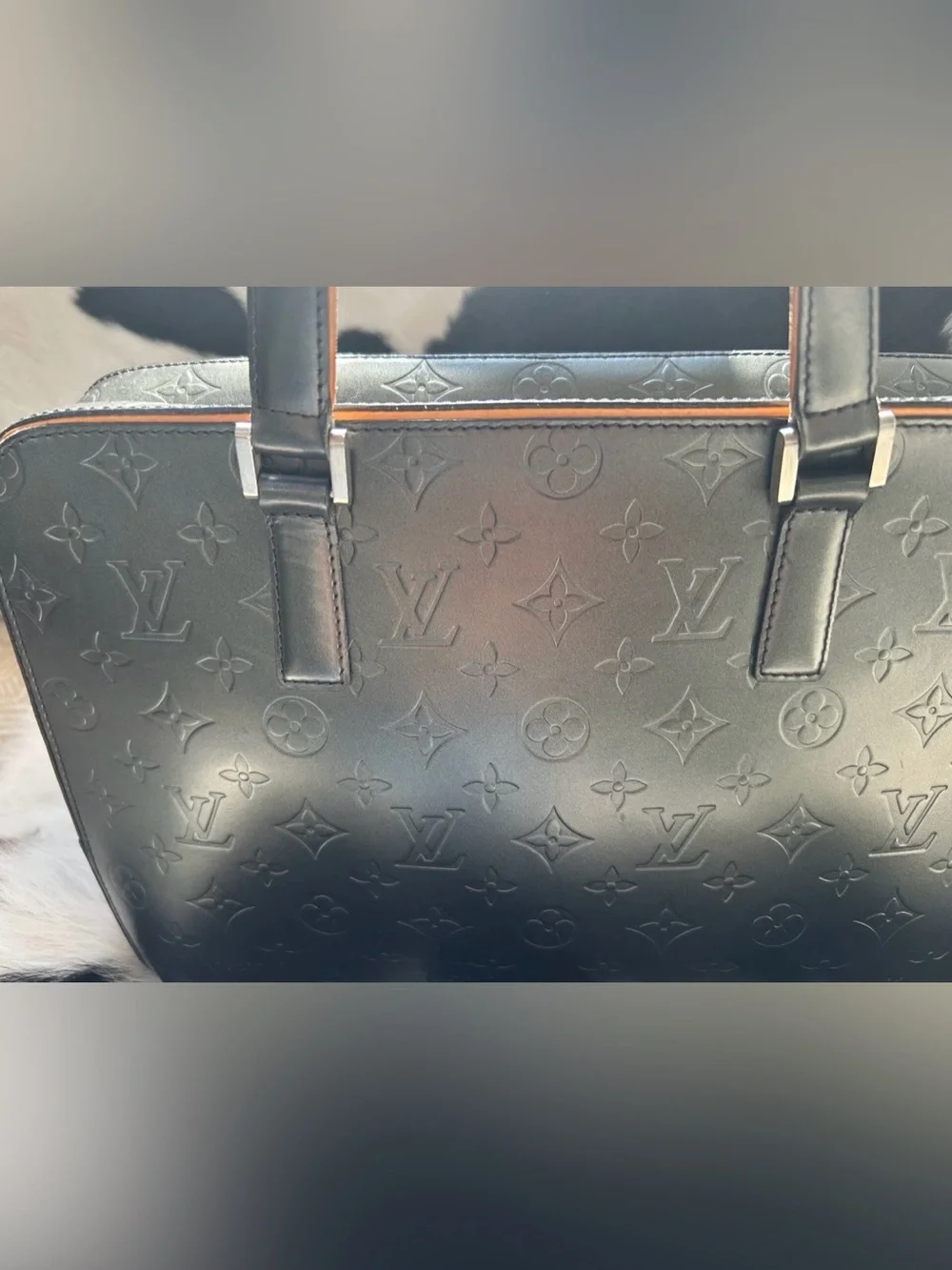 Louis Vuitton Malden Bag